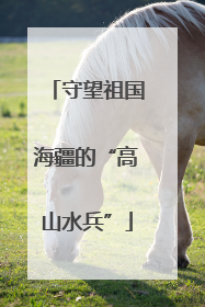 守望祖国海疆的“高山水兵”