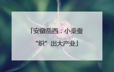 安徽岳西：小桑蚕“织”出大产业