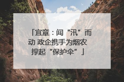 宜章：闻“汛”而动 政企携手为烟农撑起“保护伞”