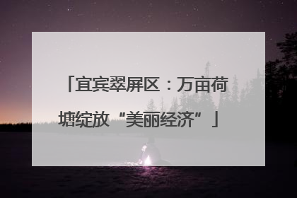宜宾翠屏区：万亩荷塘绽放“美丽经济”