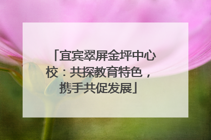 宜宾翠屏金坪中心校：共探教育特色，携手共促发展