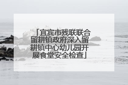 宜宾市残联联合留耕镇政府深入留耕镇中心幼儿园开展食堂安全检查