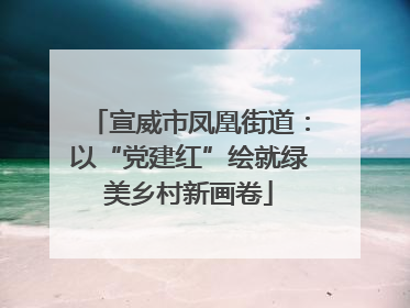 宣威市凤凰街道：以“党建红”绘就绿美乡村新画卷