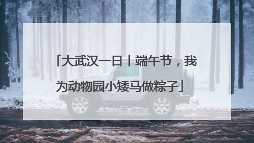 大武汉一日丨端午节，我为动物园小矮马做粽子