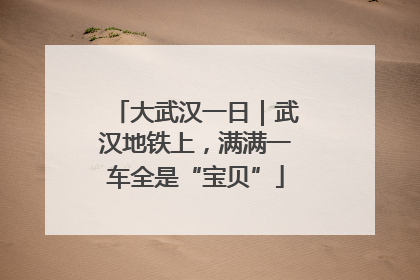 大武汉一日｜武汉地铁上，满满一车全是“宝贝”