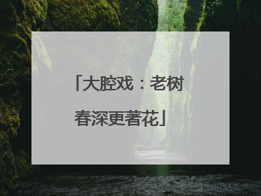 大腔戏：老树春深更著花