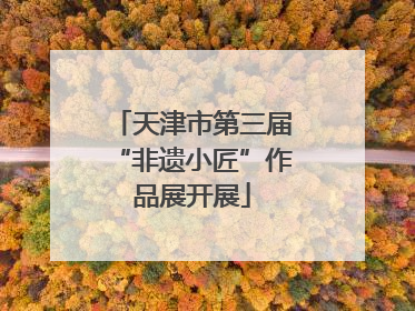 天津市第三届“非遗小匠”作品展开展