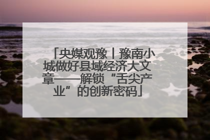 央媒观豫丨豫南小城做好县域经济大文章——解锁“舌尖产业”的创新密码