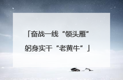 奋战一线“领头雁” 躬身实干“老黄牛”