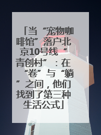 当“宠物咖啡馆”落户北京10号线“青创村”：在“卷”与“躺”之间，他们找到了第三种生活公式
