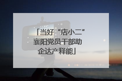 当好“店小二” 襄阳党员干部助企达产释能