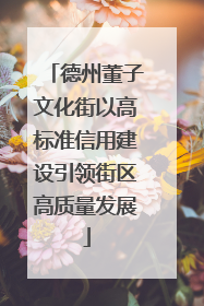 德州董子文化街以高标准信用建设引领街区高质量发展