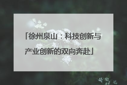 徐州泉山：科技创新与产业创新的双向奔赴
