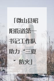 微山县昭阳街道第一书记工作队助力“三夏”防火