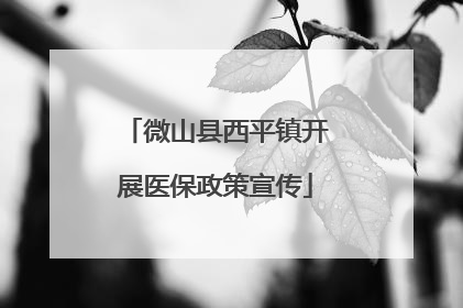 微山县西平镇开展医保政策宣传
