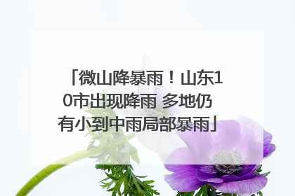 微山降暴雨！山东10市出现降雨 多地仍有小到中雨局部暴雨