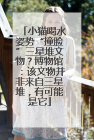 小猫喝水姿势“撞脸”三星堆文物？博物馆：该文物并非来自三星堆，有可能是它