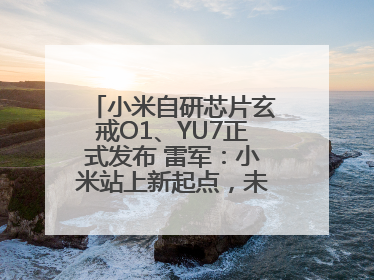 小米自研芯片玄戒O1、YU7正式发布 雷军：小米站上新起点，未来五年研发翻倍再投2000亿元