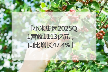 小米集团2025Q1营收1113亿元，同比增长47.4%