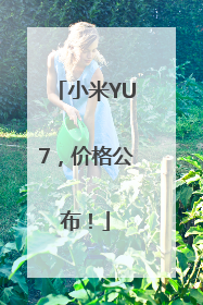小米YU7，价格公布！