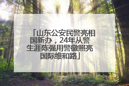 山东公安民警亮相国新办，24年从警生涯陈强用警徽照亮国际维和路