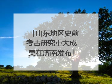 山东地区史前考古研究重大成果在济南发布
