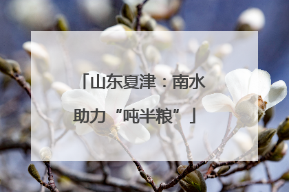 山东夏津：南水助力“吨半粮”
