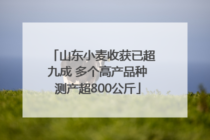 山东小麦收获已超九成 多个高产品种测产超800公斤
