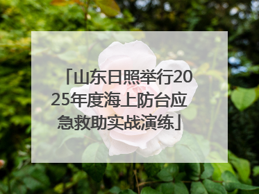 山东日照举行2025年度海上防台应急救助实战演练