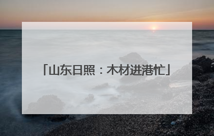 山东日照：木材进港忙
