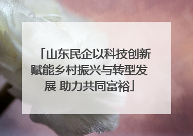 山东民企以科技创新赋能乡村振兴与转型发展 助力共同富裕
