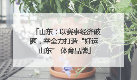 山东：以赛事经济破题，举全力打造“好运山东” 体育品牌
