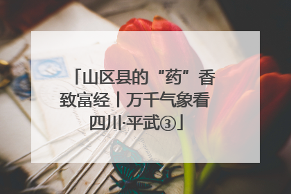 山区县的“药”香致富经丨万千气象看四川·平武③