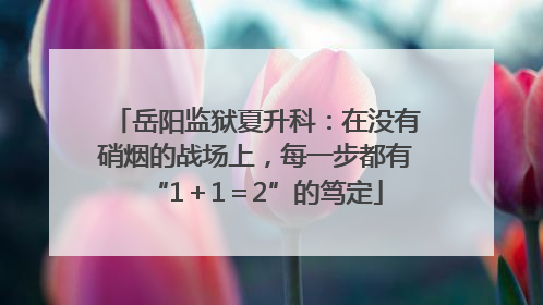 岳阳监狱夏升科：在没有硝烟的战场上，每一步都有“1＋1＝2”的笃定