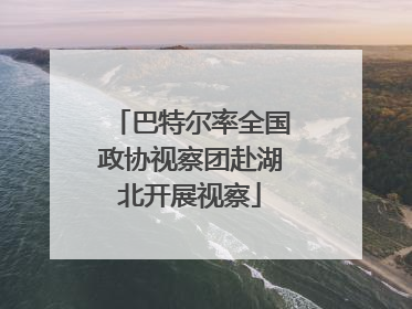 巴特尔率全国政协视察团赴湖北开展视察
