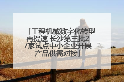 工程机械数字化转型再提速 长沙第三批27家试点中小企业开展产品供需对接