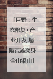 巨野：生态修复+产业开发 塌陷荒滩变身金山银山