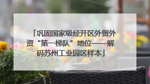 巩固国家级经开区外贸外资“第一梯队”地位——解码苏州工业园区样本
