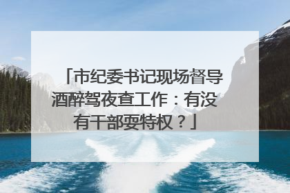 市纪委书记现场督导酒醉驾夜查工作：有没有干部耍特权？