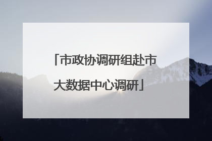 市政协调研组赴市大数据中心调研