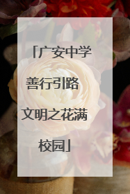 广安中学善行引路 文明之花满校园