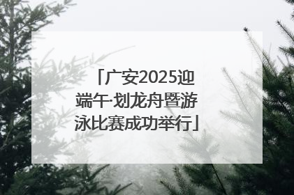 广安2025迎端午·划龙舟暨游泳比赛成功举行