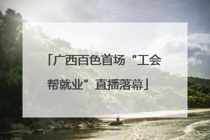 广西百色首场“工会帮就业”直播落幕