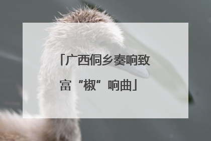 广西侗乡奏响致富“椒”响曲