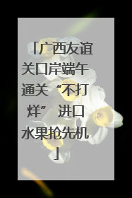 广西友谊关口岸端午通关“不打烊” 进口水果抢先机