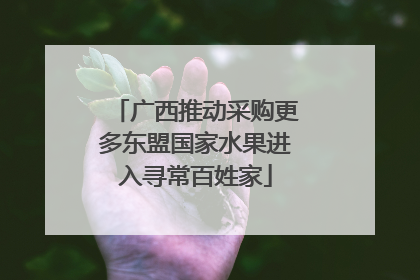 广西推动采购更多东盟国家水果进入寻常百姓家