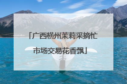 广西横州茉莉采摘忙 市场交易花香飘