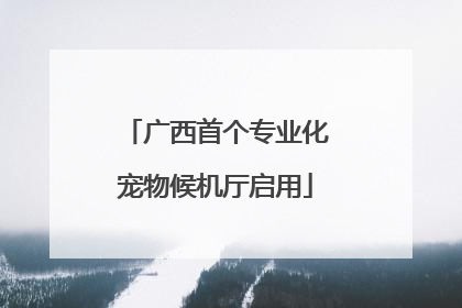 广西首个专业化宠物候机厅启用
