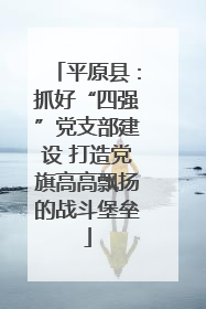 平原县：抓好“四强”党支部建设 打造党旗高高飘扬的战斗堡垒