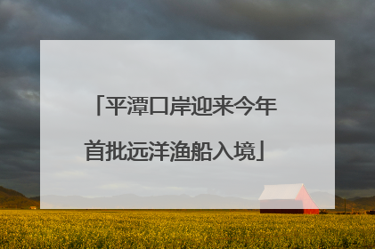 平潭口岸迎来今年首批远洋渔船入境
